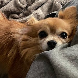 Meet your Posher, Imelda